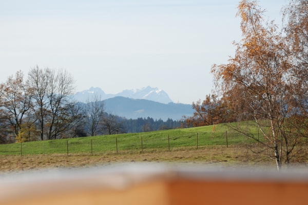 Hotel Sontheim Landgasthof